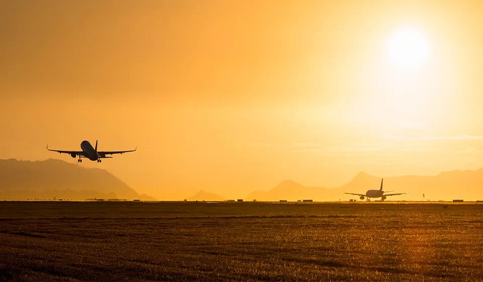 Taking flight with AI