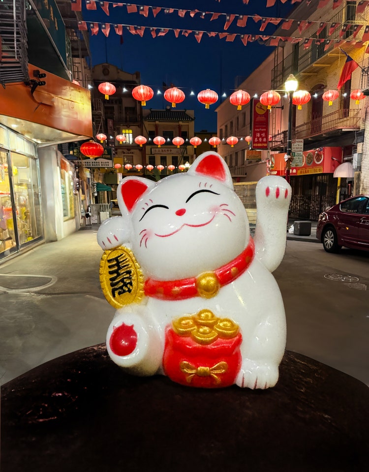 Adobe Firefly Generative Remove in Lightroom – lucky cat, remove person in background image – final