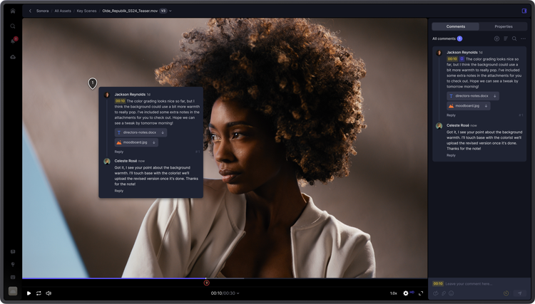 Frame.io – Video frame with comments image image