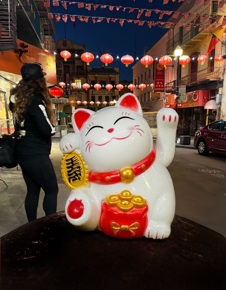 Adobe Firefly Generative Remove in Lightroom – lucky cat, remove person in background image – original