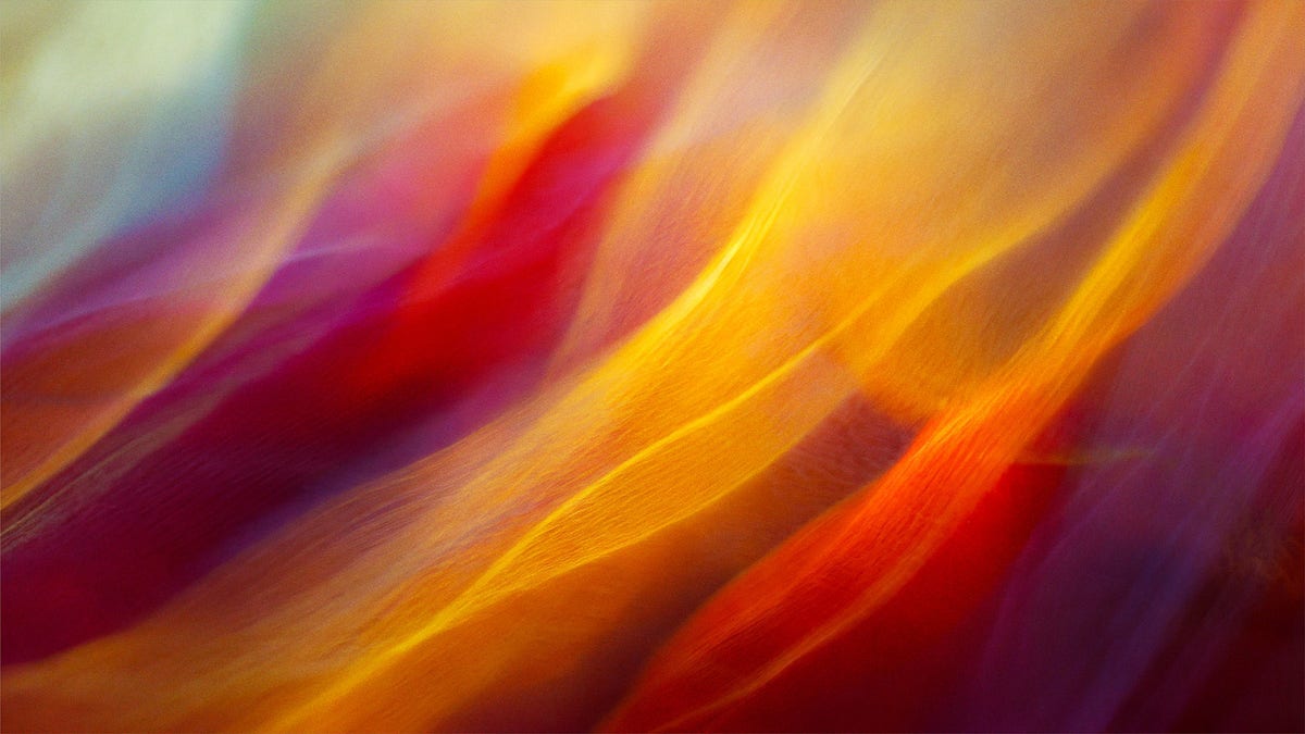 Adobe a Google Cloud rozšiřují partnerství pro kreativní AI