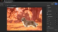 Adobe Supercharges Photoshop and Lightroom with Multi-Surface Updates